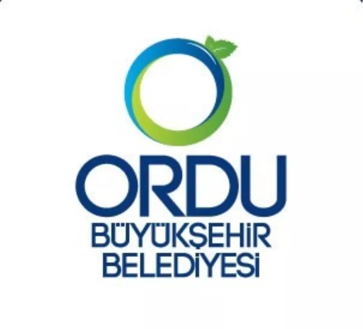 Ordu Logosunu Seçiyor