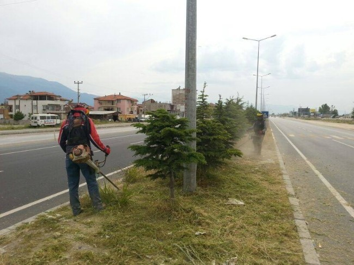 Honaz\'da Yol Kenarlarında Çıkan Yabani Otlar Temizlendi