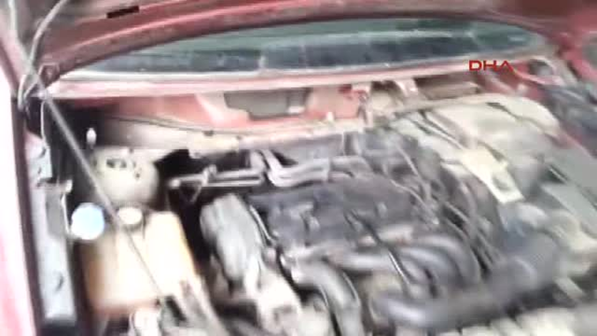 Araç Motoruna Sıkışan Yavru Kedi Tamirciler Tarafından Kurtarıldı