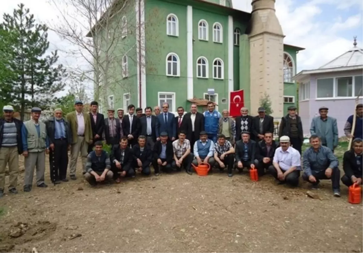 Beşkarış Camii Bahçesine Fidan