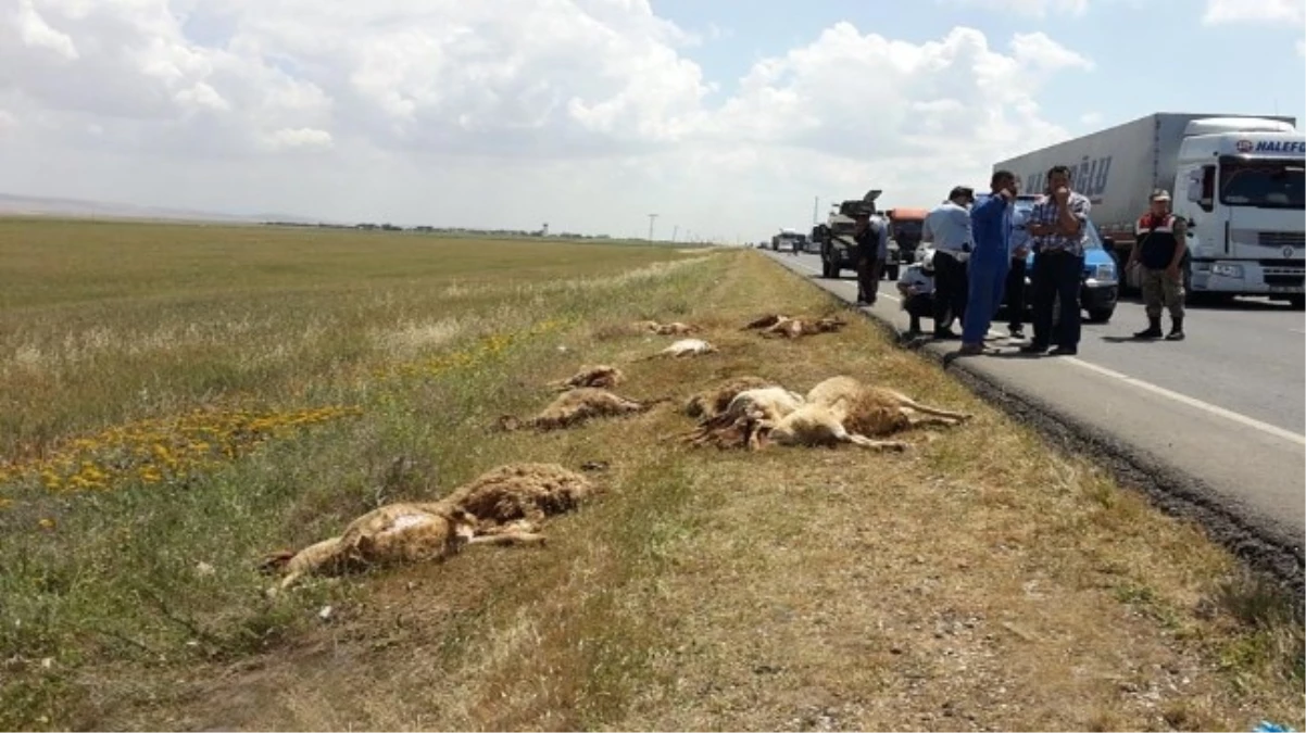 Kızıltepe\'de Çoban ve Sürüsünü Ezen Kamyon Şoförü Teslim Oldu