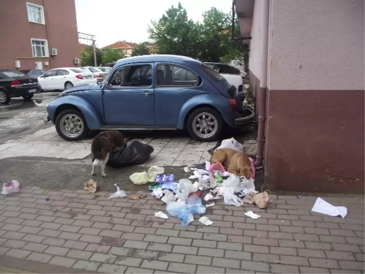 Yeni Çöp Toplama Sistemi Başarısız Oldu