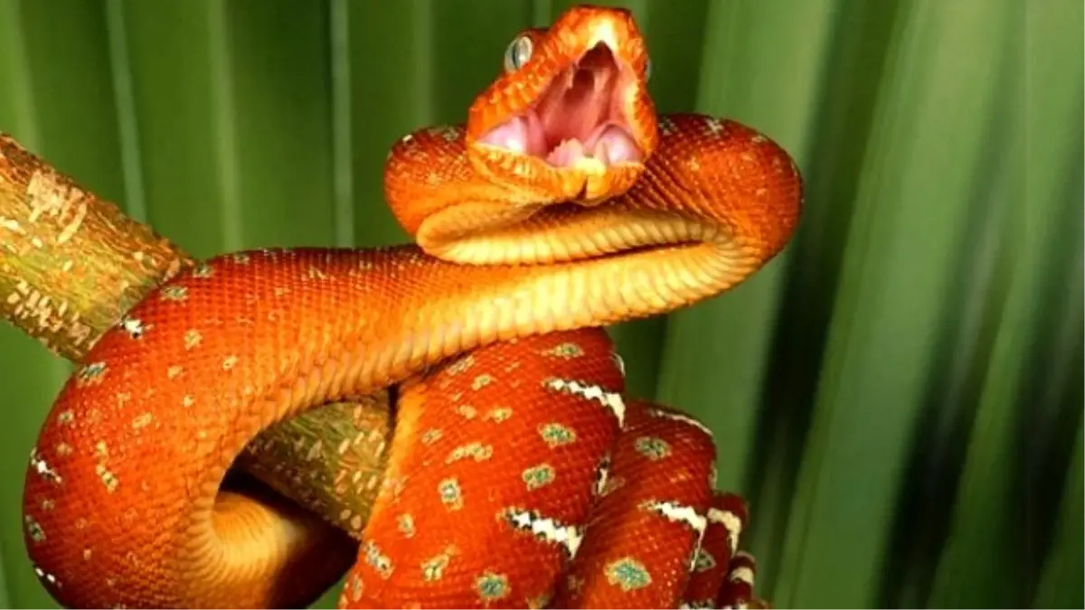 İnsanların En Çok Korktuğu 10 Şey