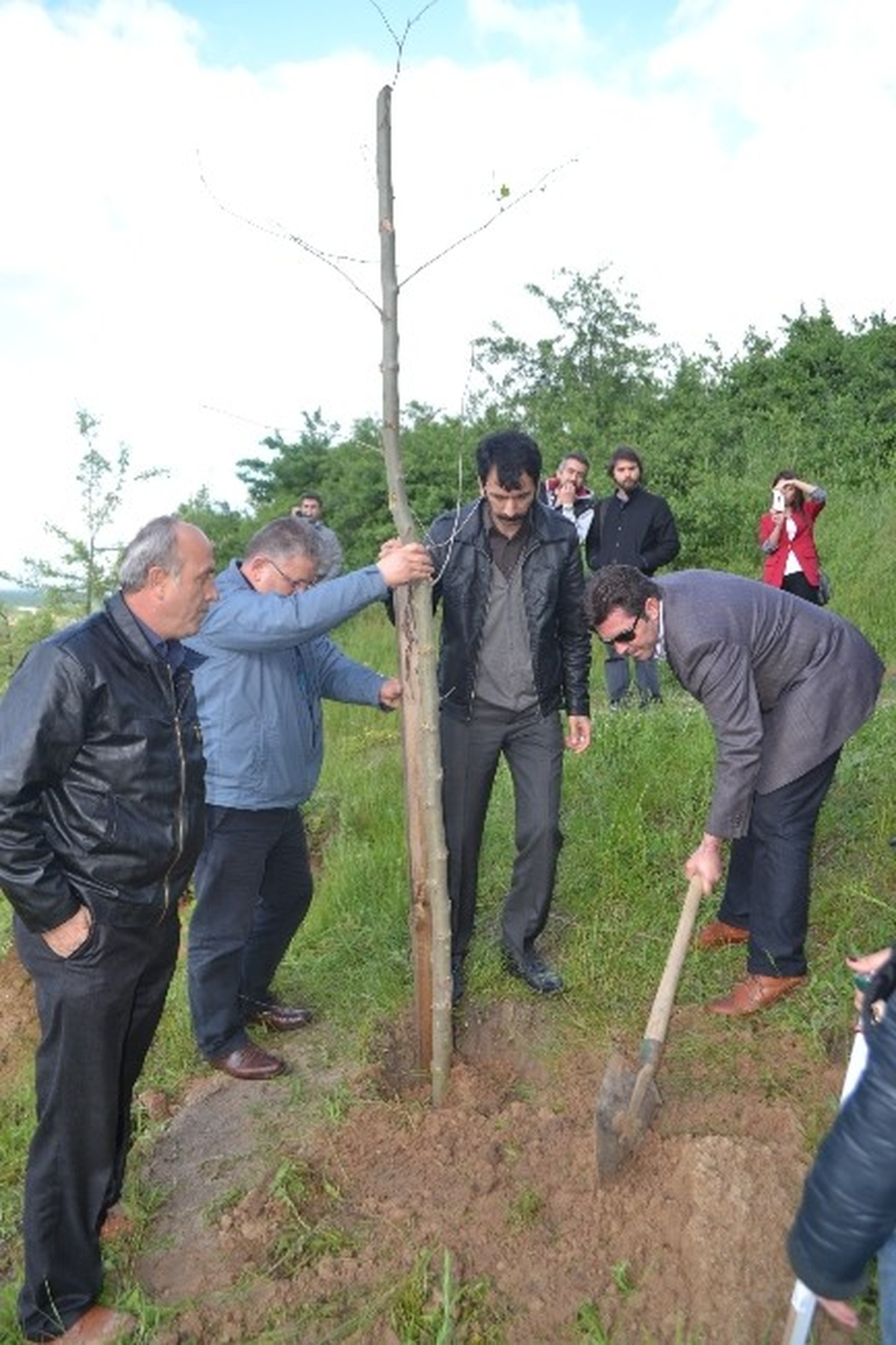 3 Fidan İçin 3 Fidan Diktiler