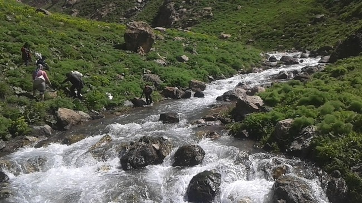 Anneler Günü\'nde Pancar Topladılar