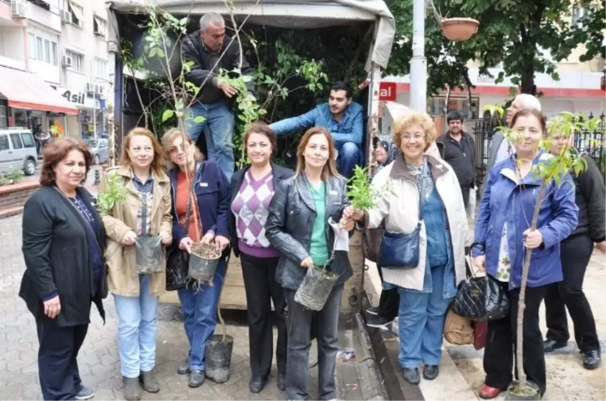 CHP Ödemiş Kadın Kollarından "Her Anneye Bir Fidan"