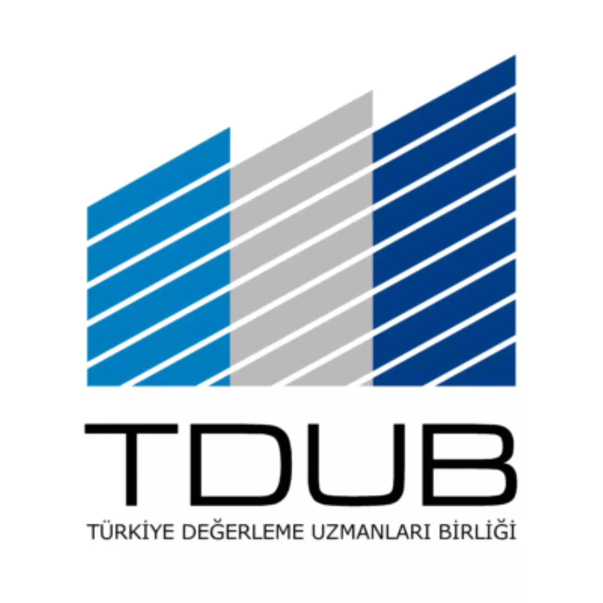 Değerleme Uzmanlarının Meslek Birliği Tdub\'ta Statü Değişikliği