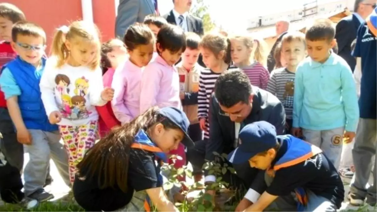 Kutlu Doğum Anısına Anaokulu Öğrencileri Gül Fidanı Dikti