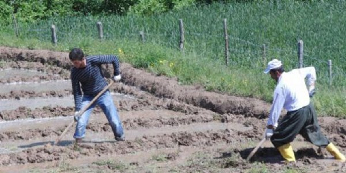 Çiftçi Borçları 2 Yıl ve Faizsiz Ertelenmeli"