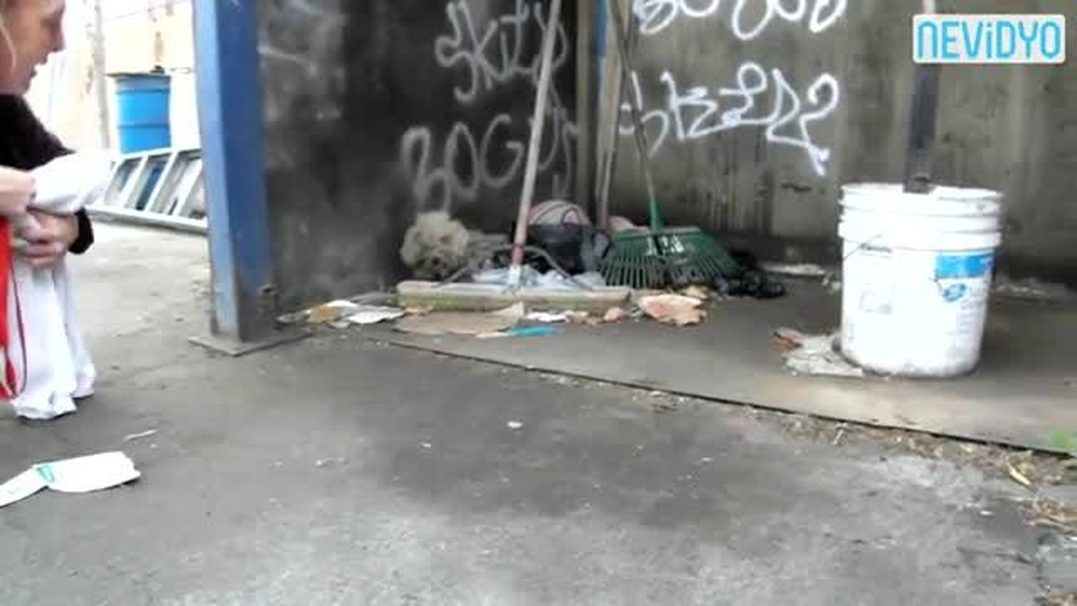 Çöpe Atılan Kör Köpeği Kurtardılar