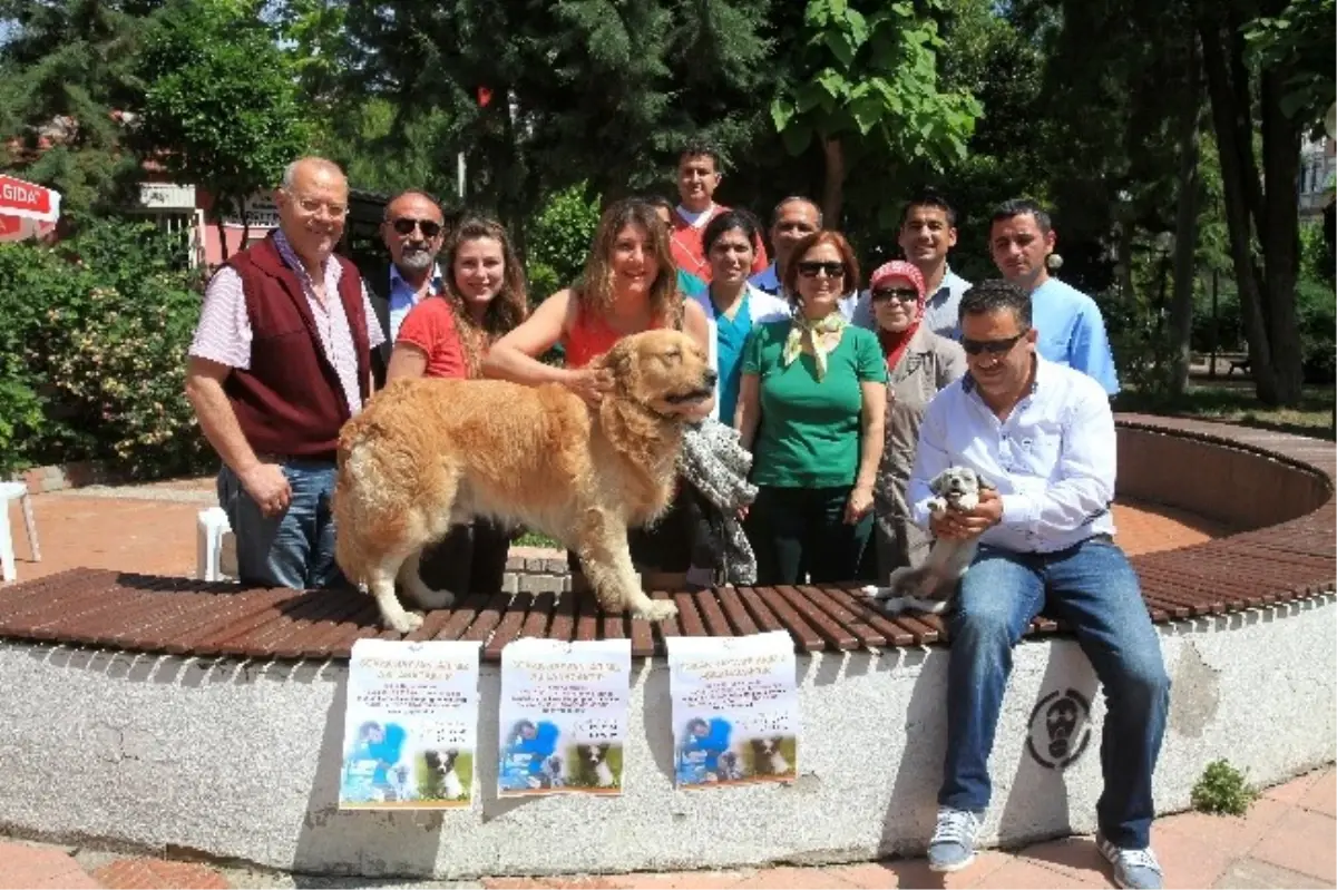 Karabağlar\'da Sokak Hayvanları Aşılanıyor