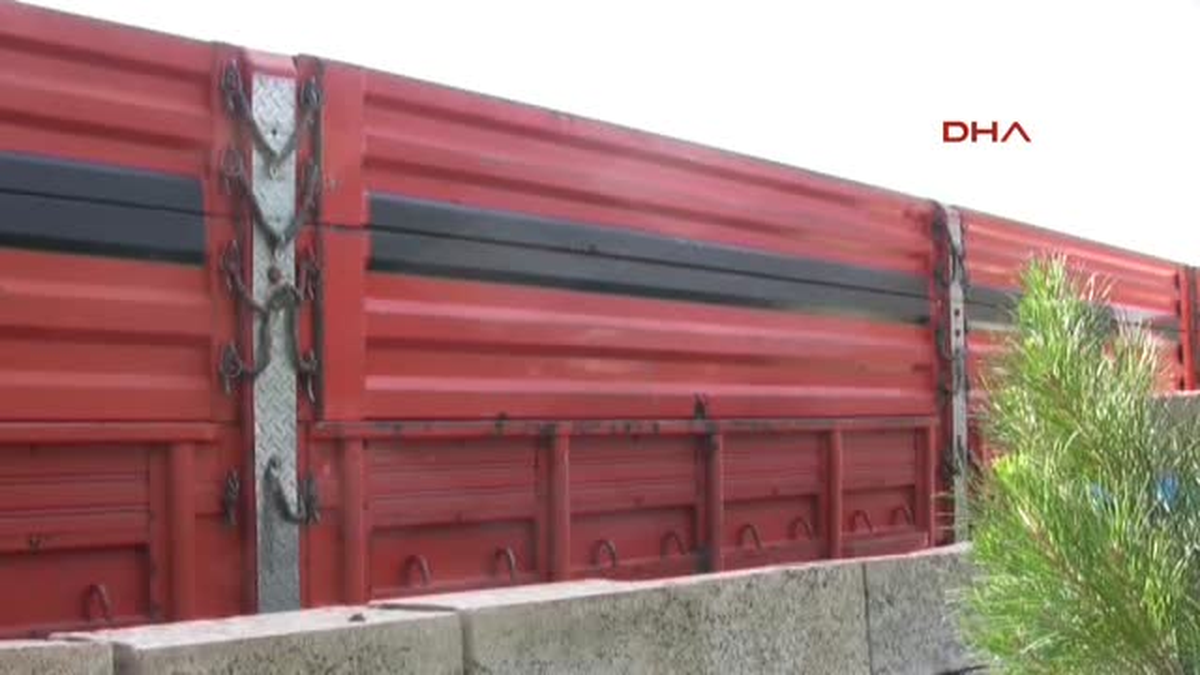 Tır\'ın Dorsesine Yuva Yapan Güvercinin Yavruları Çıktı