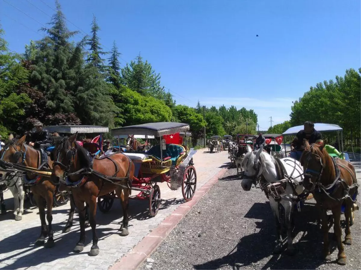 Edirne\'de Zabıta Faytoncuları Denetledi