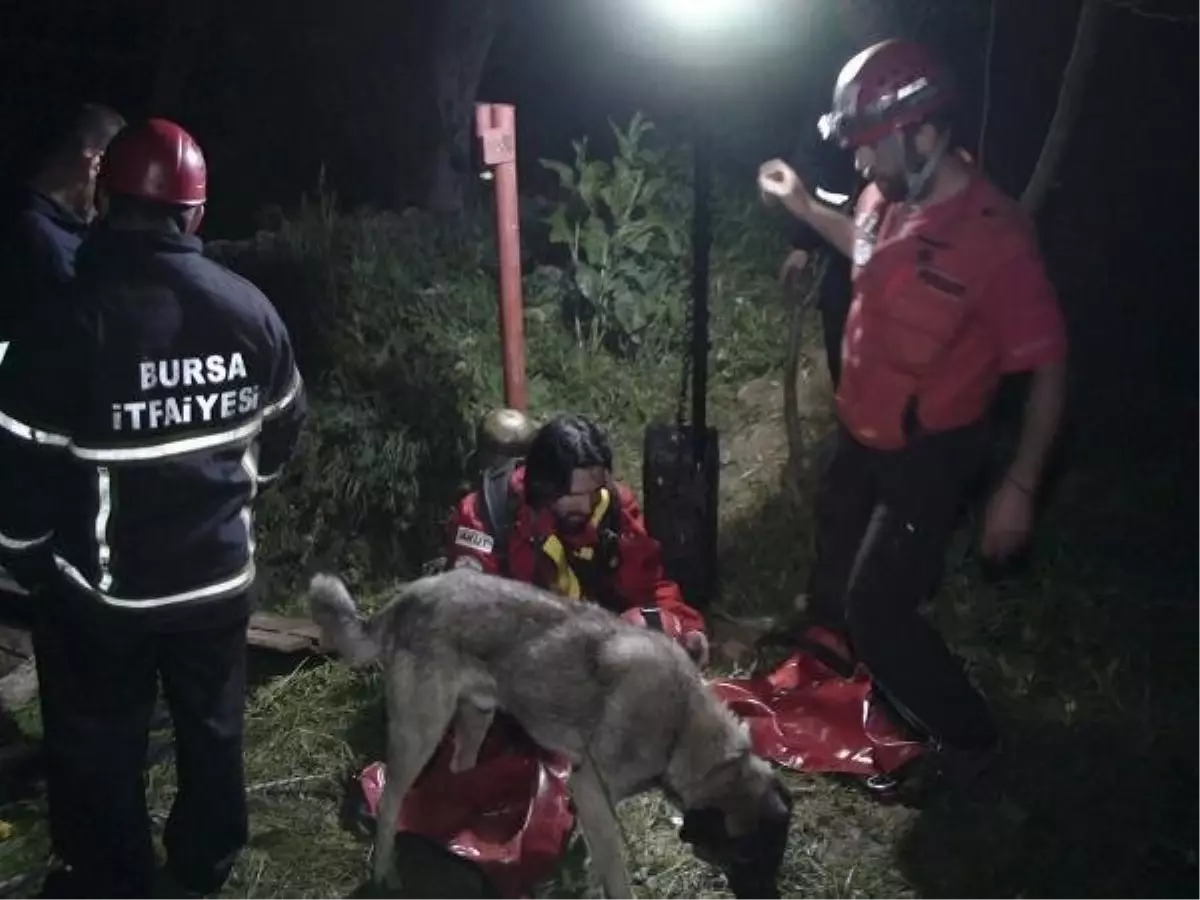 Kuyuya Düşen Köpeği Ekipler Kurtardı