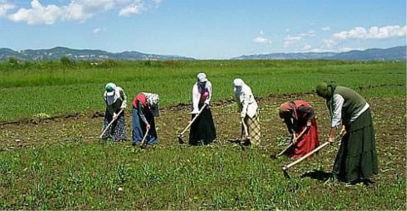 Sarayönü\'nde Mevsimlik Tarım İşçilerinin Durumu Görüşüldü