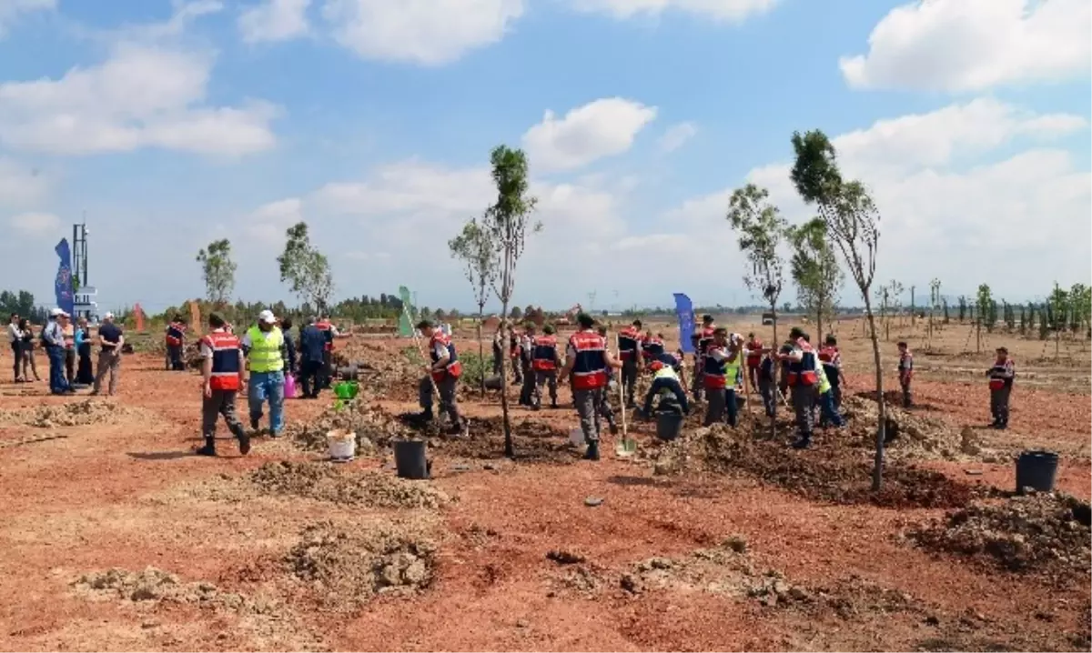 Soma Şehitleri Anısına Expo Alanına Ağaç Dikildi