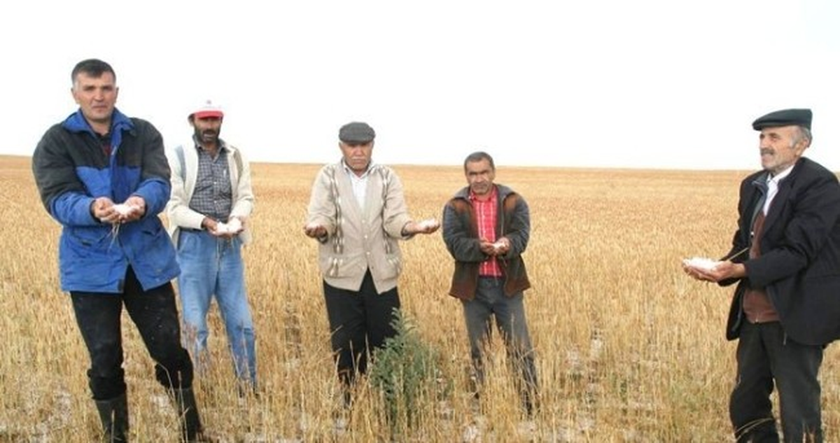 Afete Maruz Kalan Çiftçilerin Tarımsal Kredi Borçları Erteleniyor