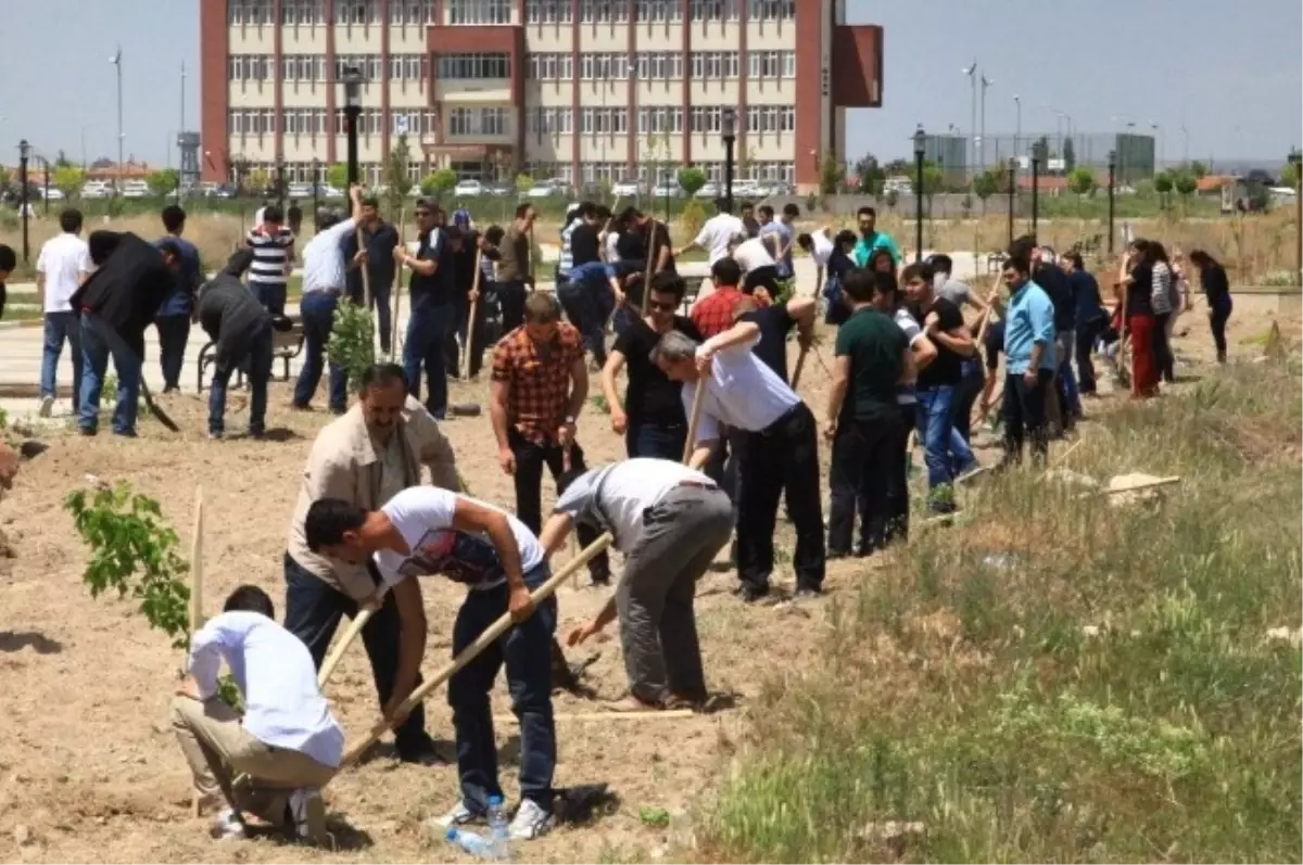 Asü Öğrencileri Soma Şehitleri İçin Dua Edip Fidan Dikti