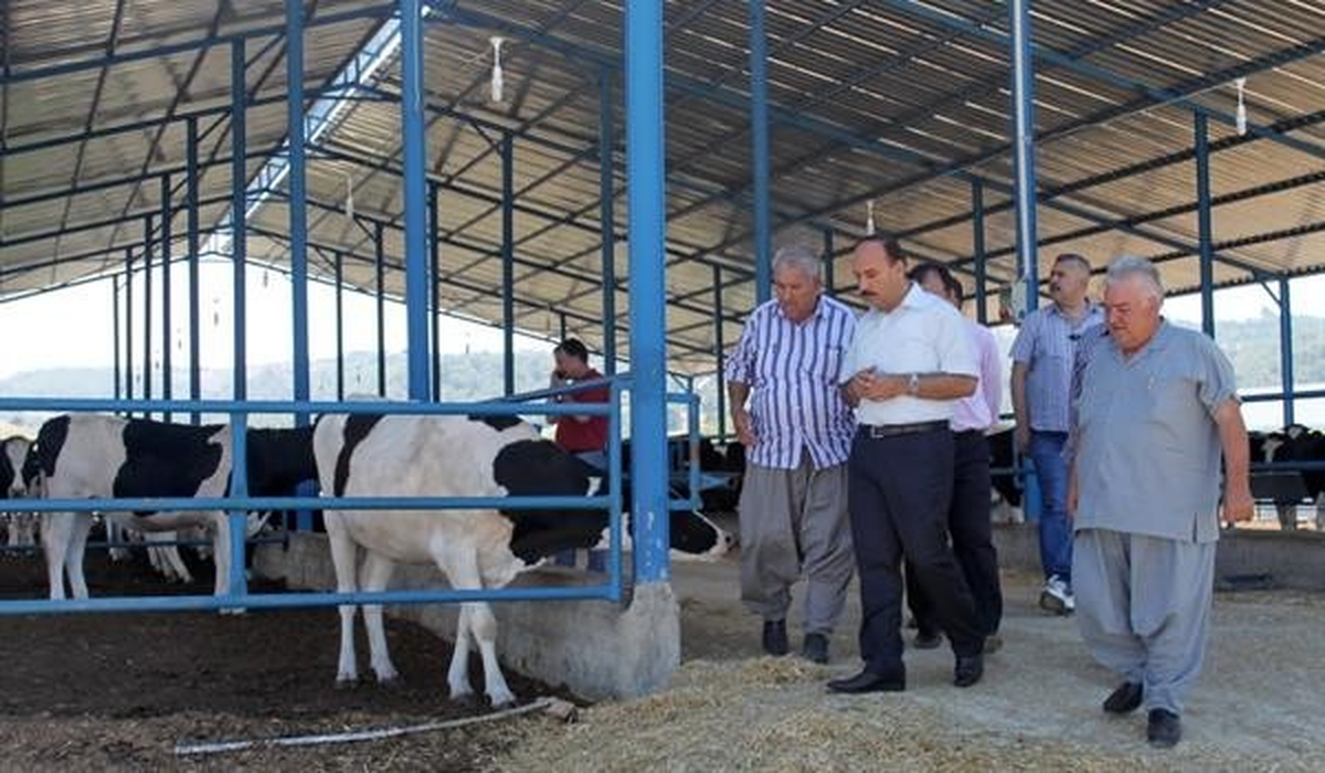 Dünya Çiftçiler Günü