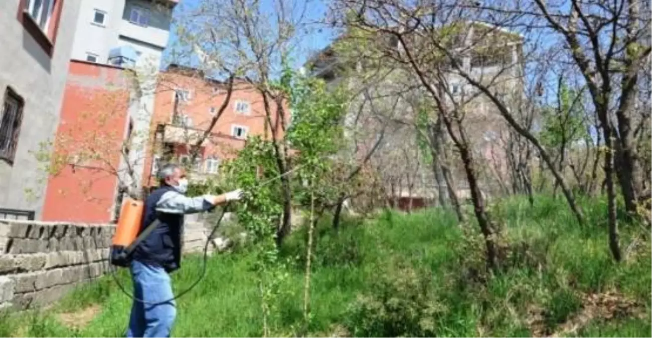 Elazığ Belediyesi Parkları İlaçlamaya Başladı