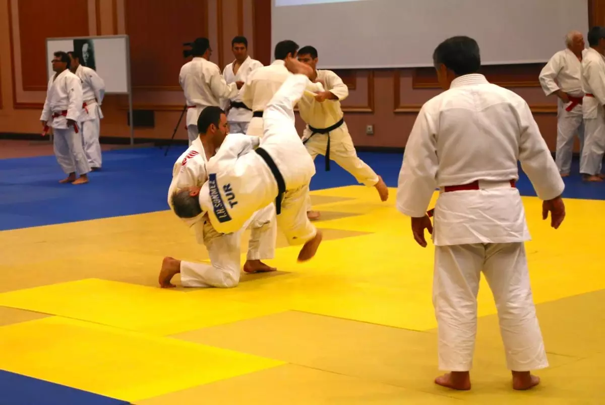 Judo Festivali