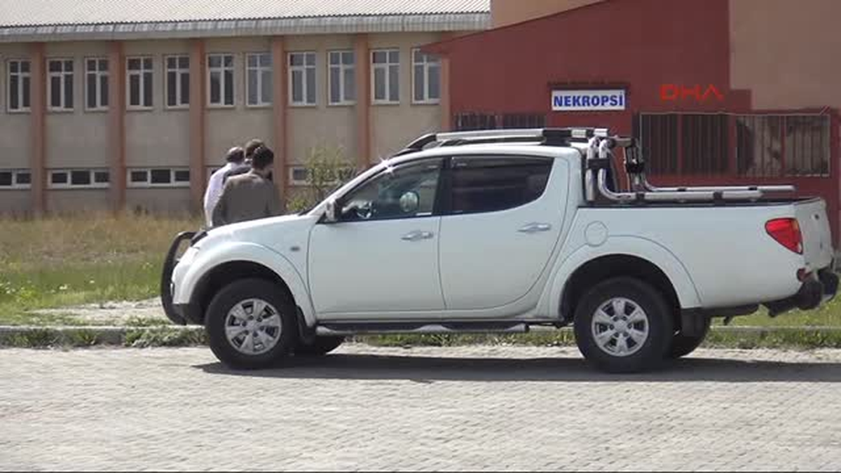 Otomobilin Çarptığı Ayı Telef Oldu