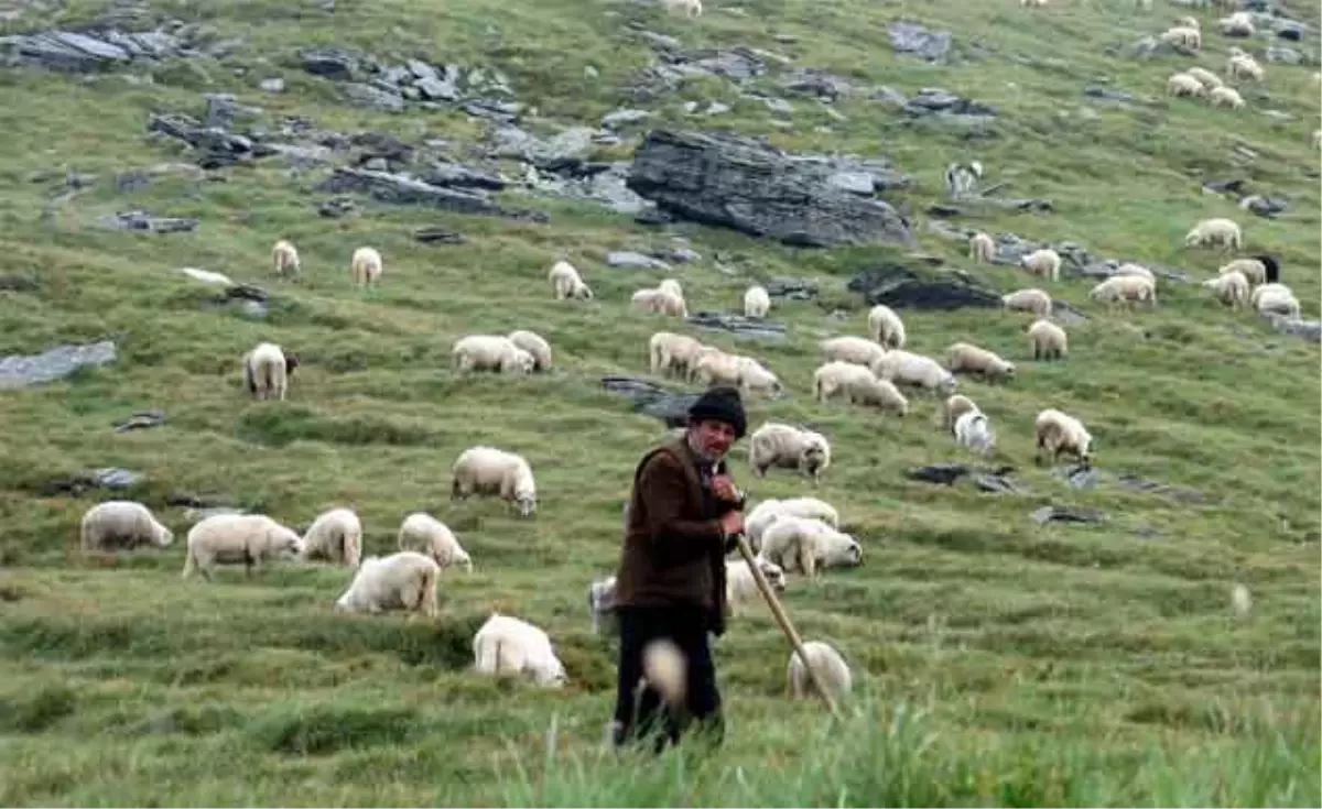 PKK Ağrı\'da Çoban Kaçırdı