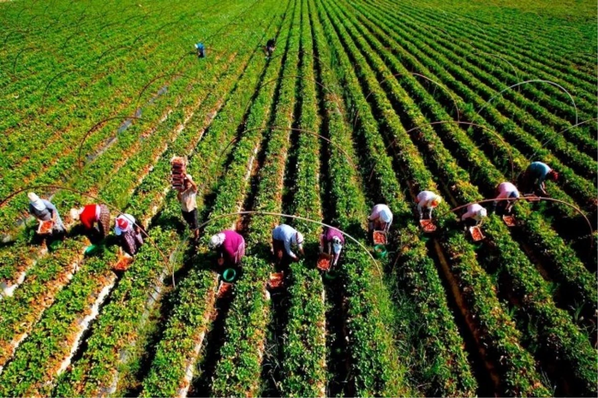 Bu Toprağın Renkleri" Yarışmasından İha\'ya İki Ödül