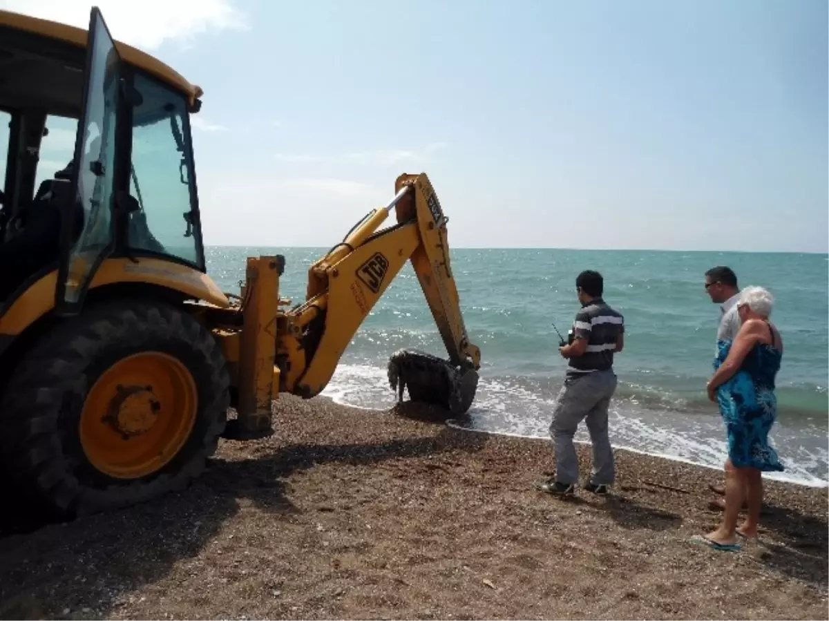 Caretta Caretta Ölüsü Kundu Sahiline Vurdu