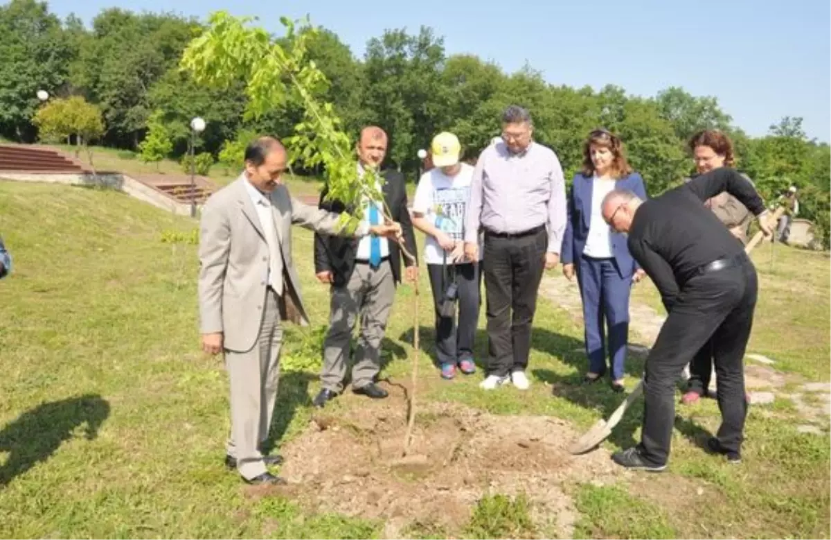 Hayatını Kaybeden Öğretmenleri Anısına Fidan Diktiler