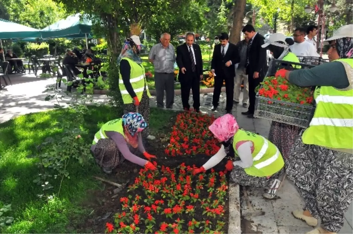 Akşehir Çiçeklerle Güzelleşiyor