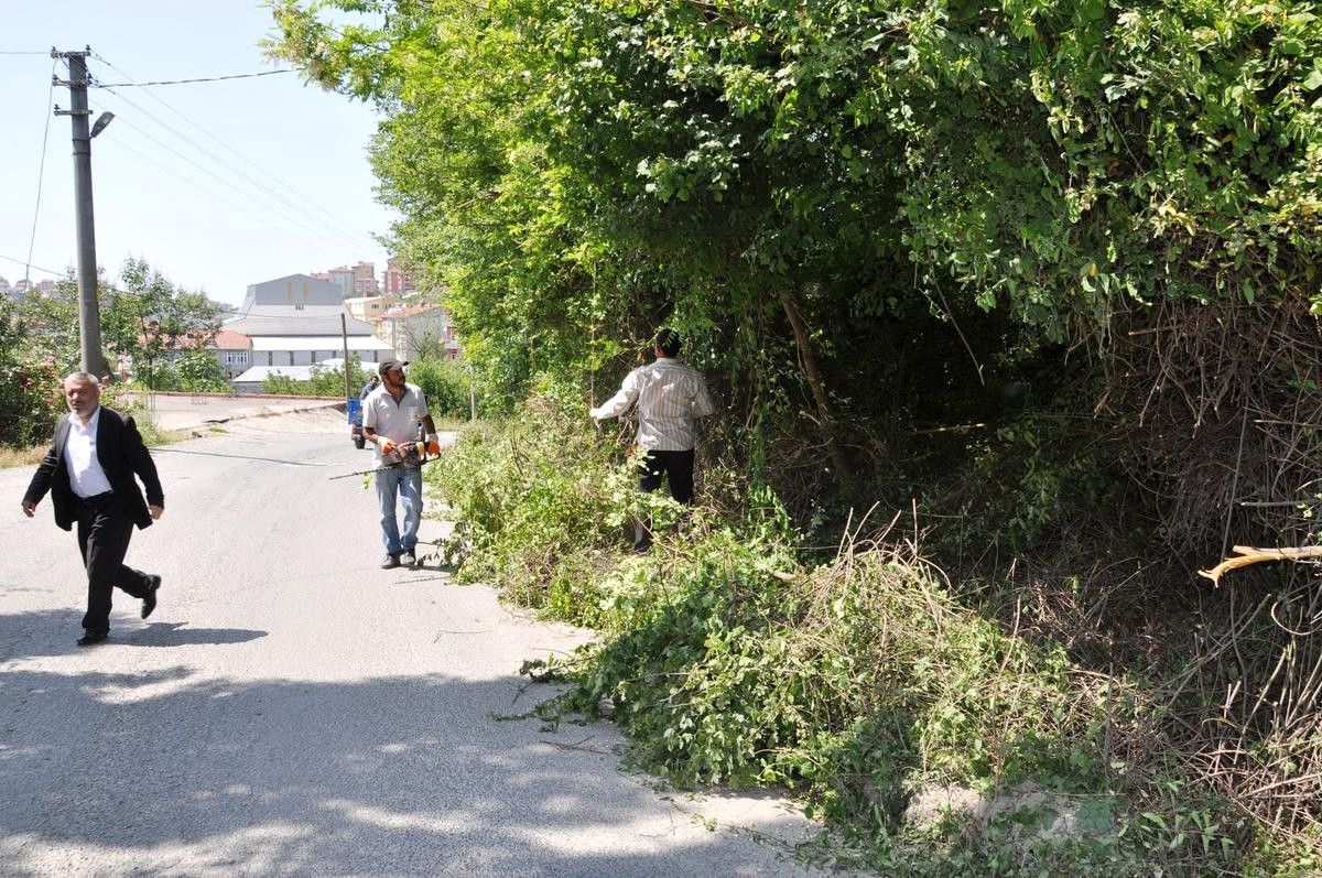 Alaplı Belediyesinde Çevre Düzenleme Çalışmaları