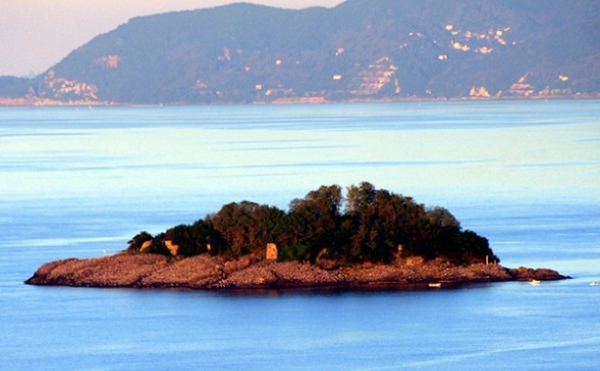 Giresun Adası Kuşlara Bırakıldı
