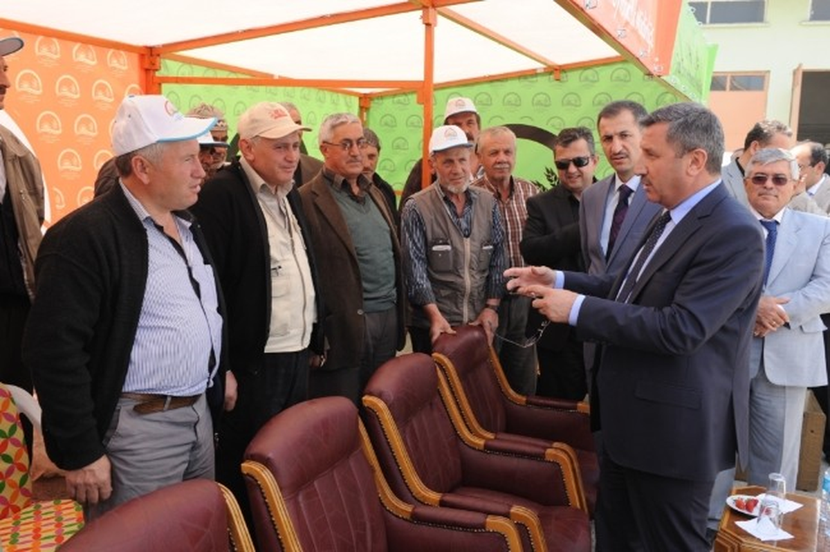Kütahya\'da Çilek Fidesi Dağıtımı