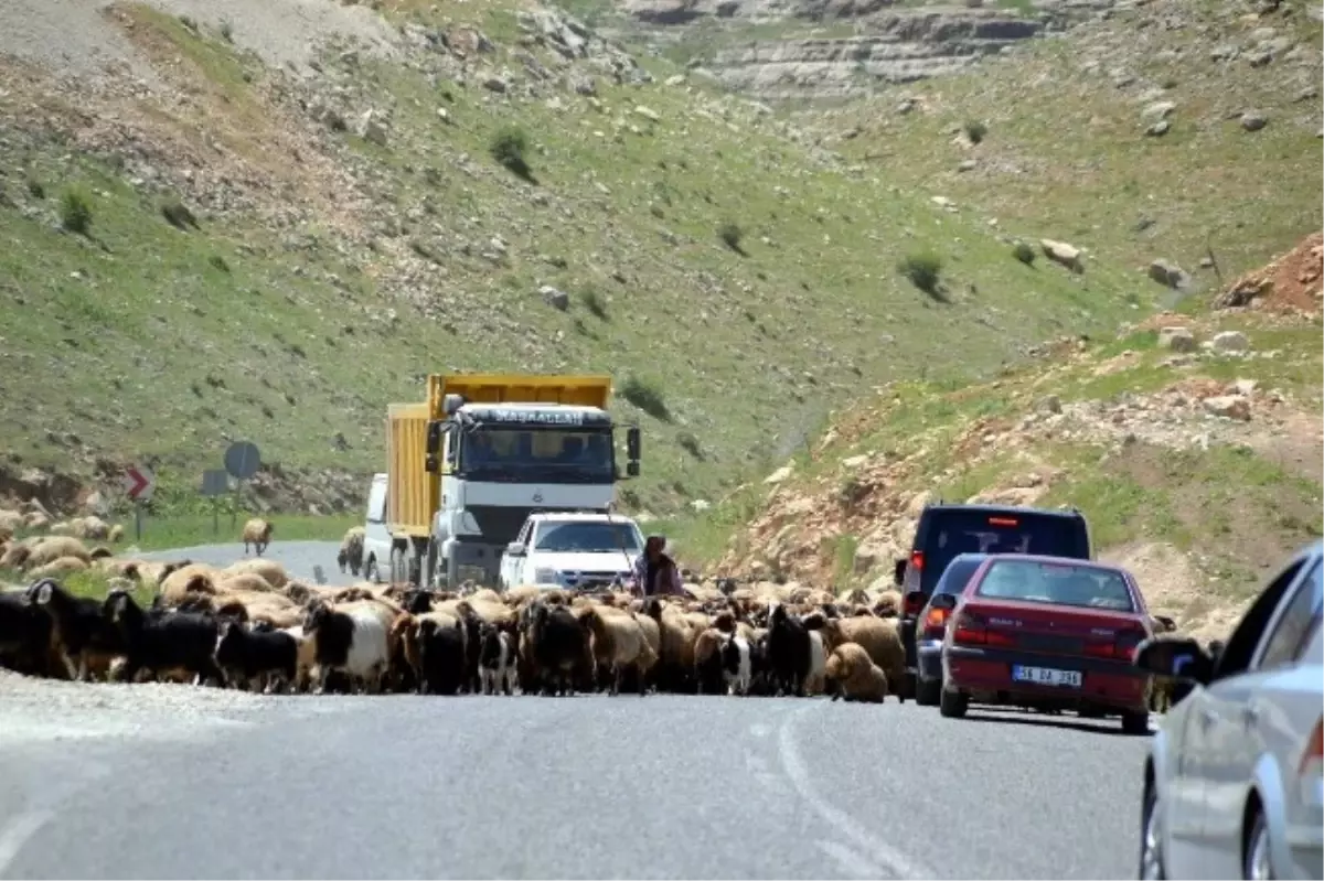 Siirt Karayolunda Tehlikeli Yolculuk