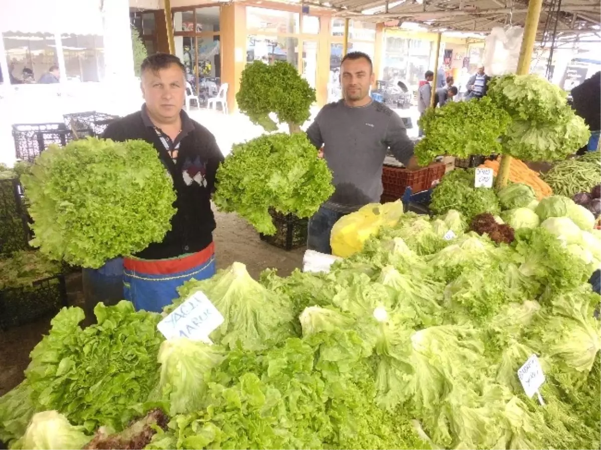 Trakyalı Sebze Üreticilerinin Yüzü Güldü