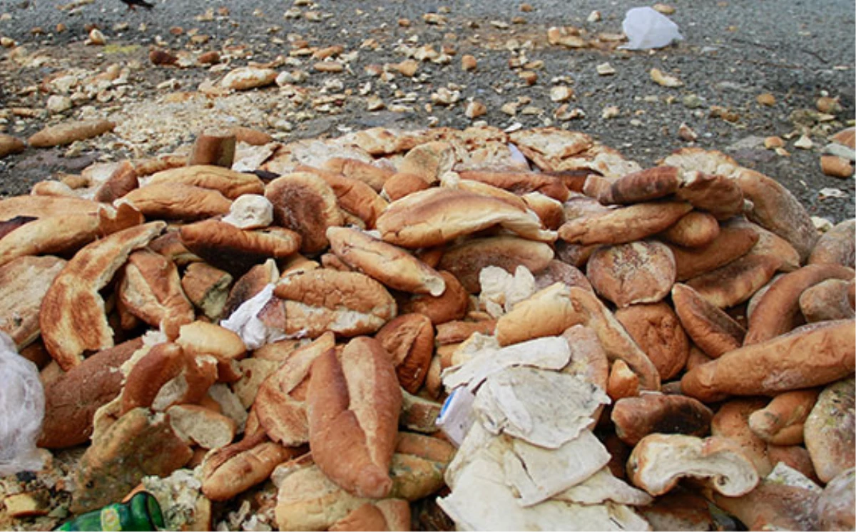 Türkiye\'de Bir Yılda 2,1 Milyar Adet Ekmek Çöpe Atılıyor"