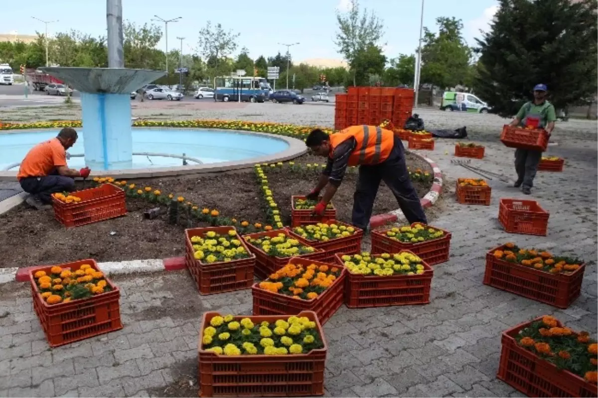 Yenimahalle Çiçek Açtı