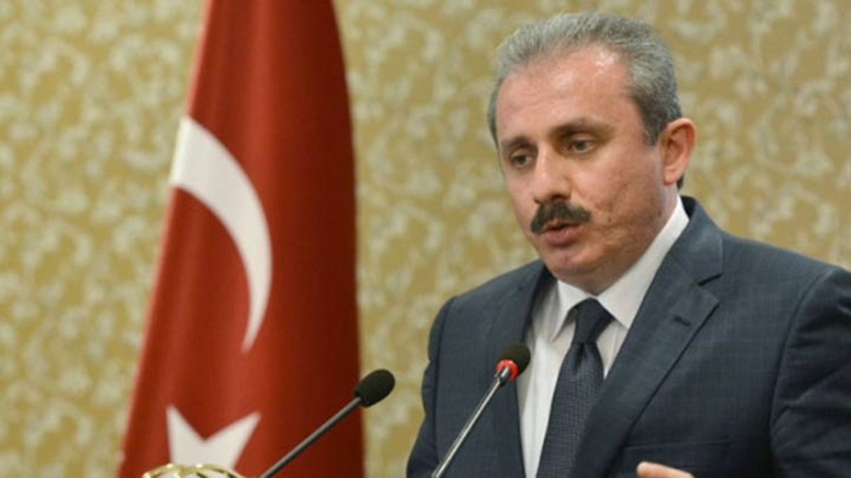 AK Parti Genel Başkan Yardımcısı Şentop Açıklaması