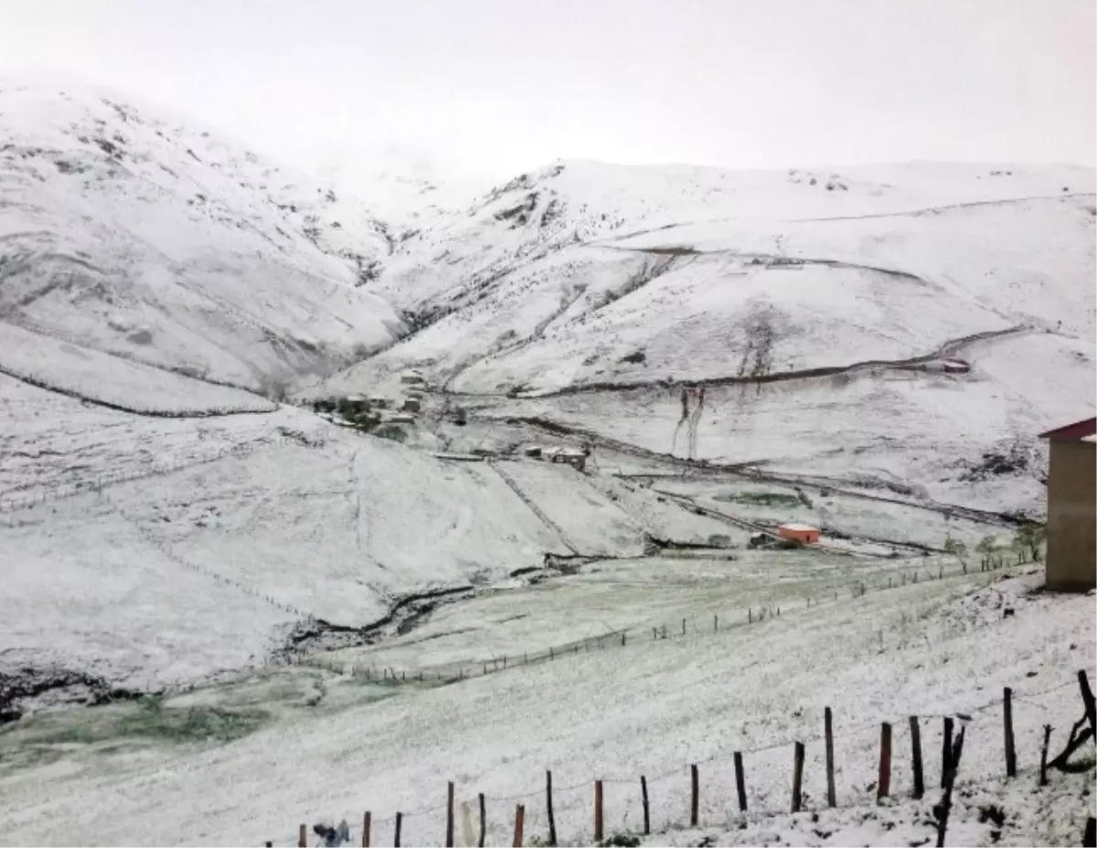 Giresun\'da Yaylalara Mayıs Karı Yağdı