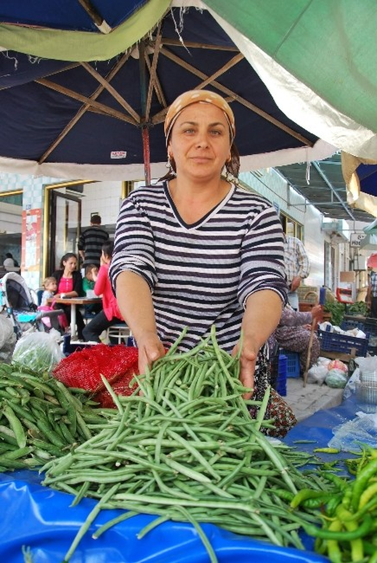 Aydın Börülcesinin Fiyatı Ateş Pahası Oldu