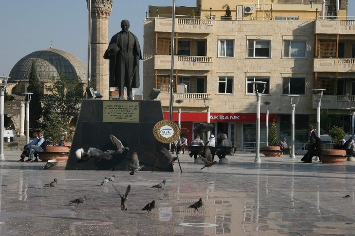 Kuşlar Atılan Buğday Tanelerine Hücum Etti