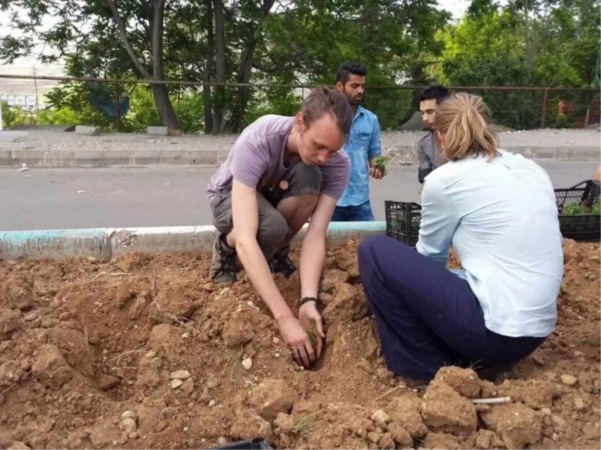 Mavi-Der Üyeleri Caddelere Çiçek Ekti