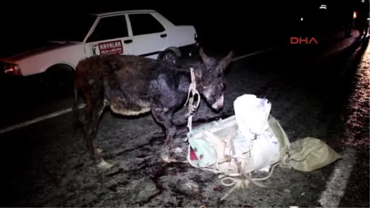 Oltu\'da Otomobilin Çarptığı Eşek Üzerindeki Köylü Öldü