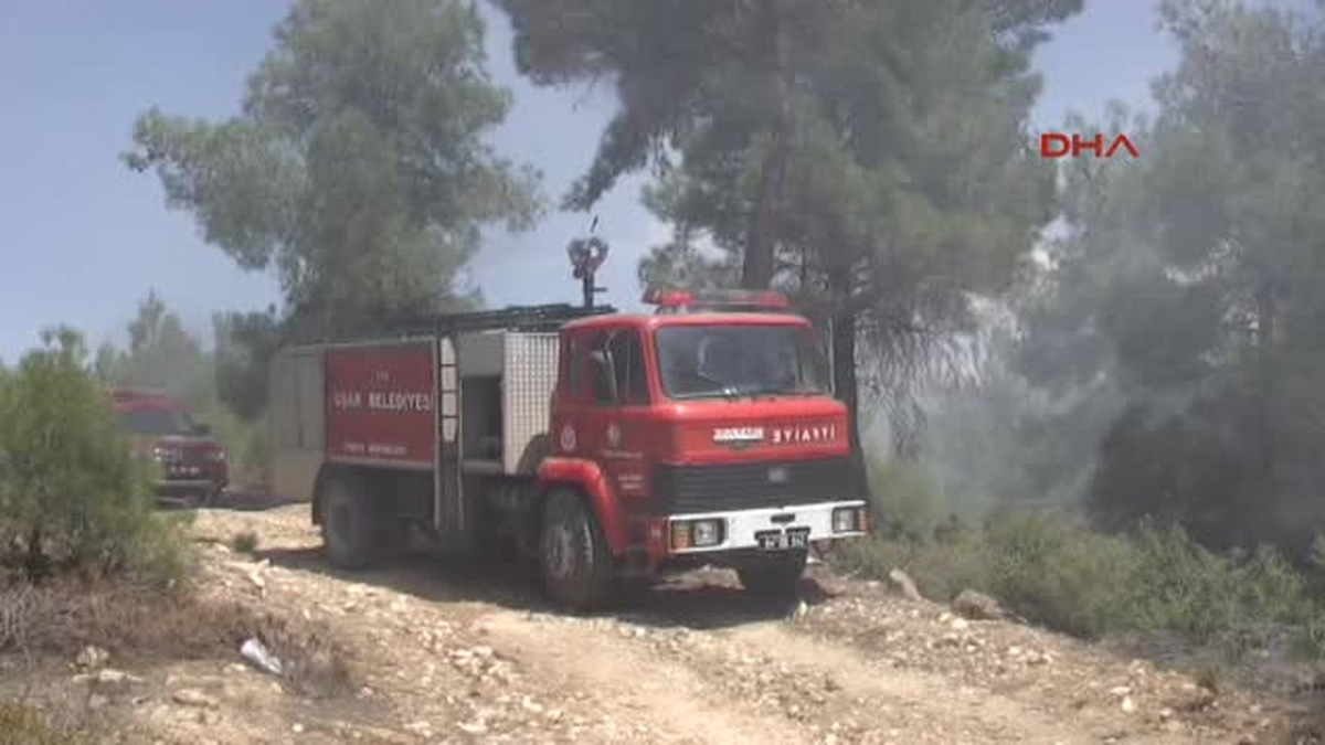 Piknikçi Ateşi Ormanı Yaktı, Büyümeden Söndürüldü