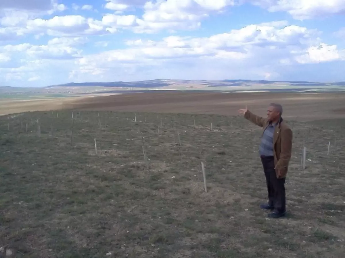 Uludağ, Herkesi Doğayı Korumaya Çağırdı