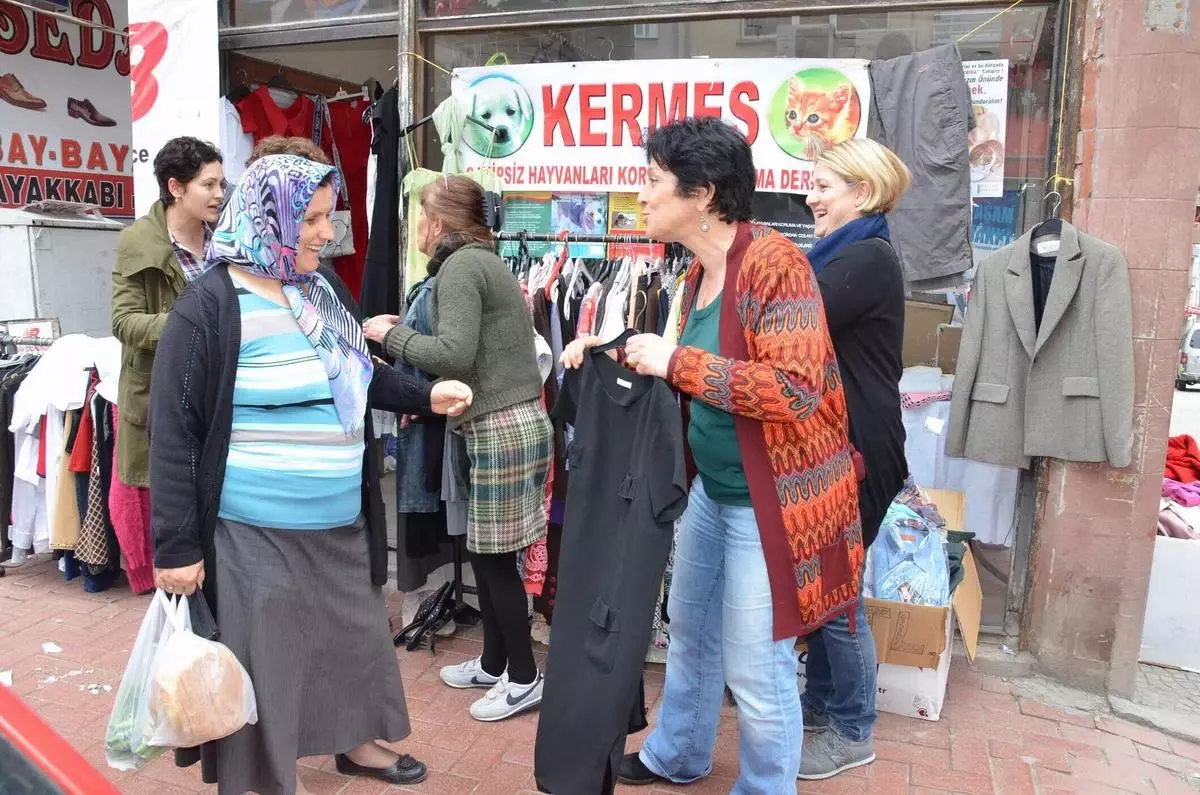 Sinop\'ta Sokak Hayvanları İçin Kermes Düzenlendi