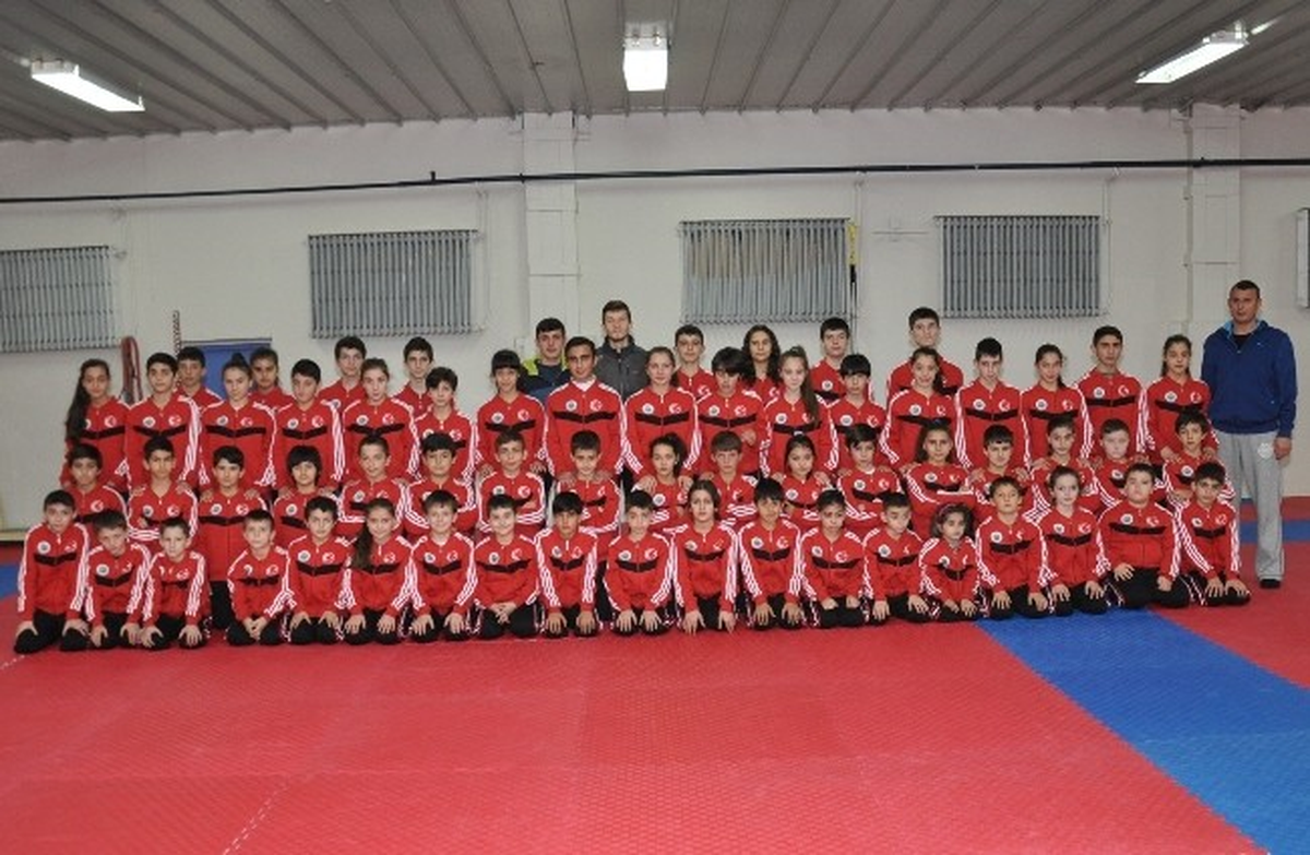 Türkiye Kulüplerarası Karate Şampiyonası