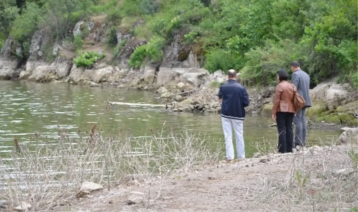 Çorum\'da Toplu Balık Ölümleri Sürüyor