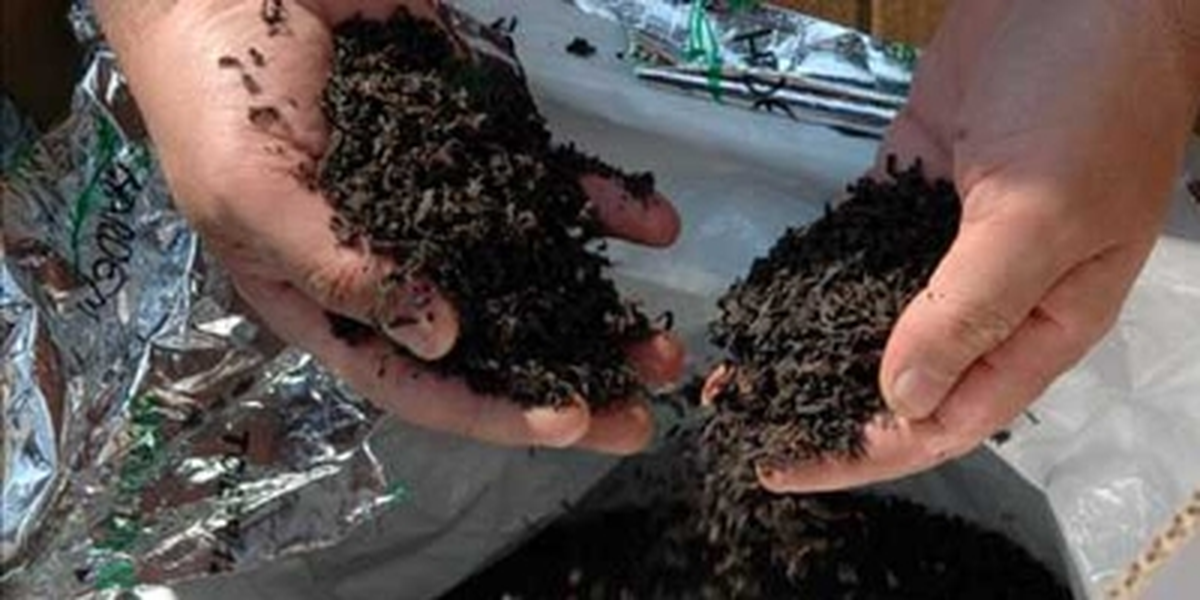 Hakkari\'de 18 Ton Kaçak Çay Ele Geçirildi